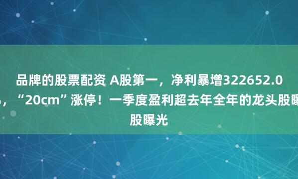 品牌的股票配资 A股第一，净利暴增322652.08%，“20cm”涨停！一季度盈利超去年全年的龙头股曝光