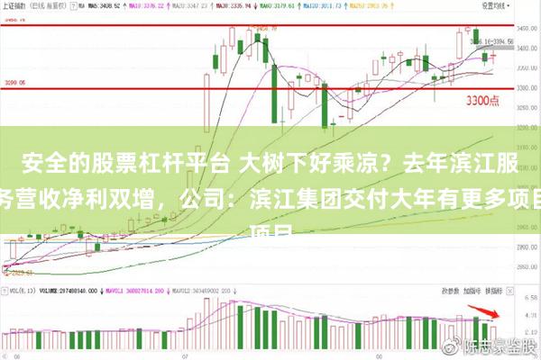 安全的股票杠杆平台 大树下好乘凉？去年滨江服务营收净利双增，公司：滨江集团交付大年有更多项目