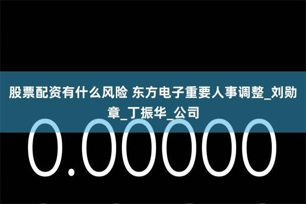 股票配资有什么风险 东方电子重要人事调整_刘勋章_丁振华_公司