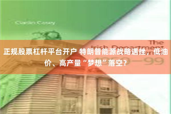 正规股票杠杆平台开户 特朗普能源战略遇挫，低油价、高产量“梦想”落空？
