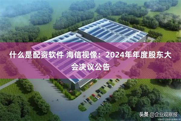 什么是配资软件 海信视像：2024年年度股东大会决议公告